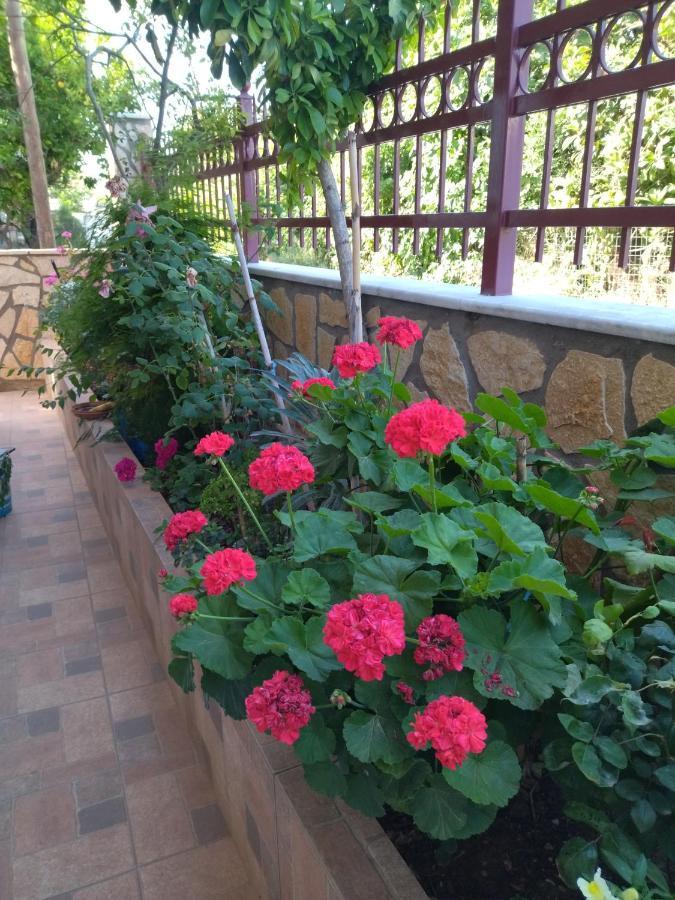 B&B One Воница Экстерьер фото